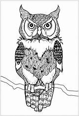 Hibou Colorear Owls Gufi Hiboux Buhos Gufo Animali Adulti Eulen Erwachsene Malbuch Justcolor Fur Coloriages Disegno Reale Colouring Enfants Eule sketch template
