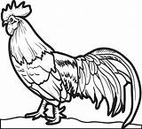 Galo Gallo Rooster Colorir Chickens Coloringbay Colorironline Lindo Máscara Coloringfolder sketch template