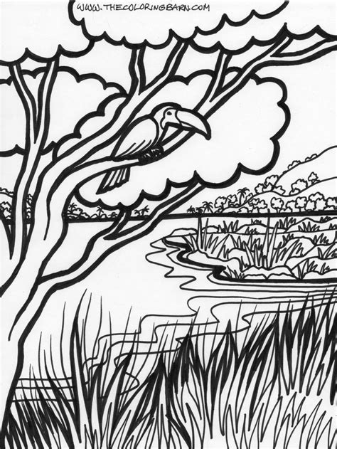 pin  lorri hanson  art tree coloring page jungle coloring pages