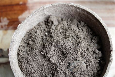 understanding clay soil    improve