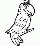 Parrot Papagal Colorat Papagei Desene Macaw Planse Papagali Parrots Pasari Ausmalbild Malvorlage Educative Designlooter Macaws Trafic sketch template