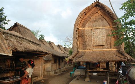 desa sade lombok tempat belajar melihat tradisi asli sasak okezone travel