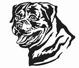 Rottweiler Vecteur Portret Decoratief Vectorillustratie Décoratif Adults Skizzenillustration Zwarte Silhouet Dessin Illustratie Vektorillustration Dekoratives Porträt sketch template