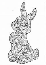 Mandala Easter Coloring Bunny Pages Colouring Animal Cat Uploaded User Bunnies Disney sketch template