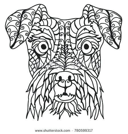 schnauzer coloring pages adorable schnauzer coloring page stock