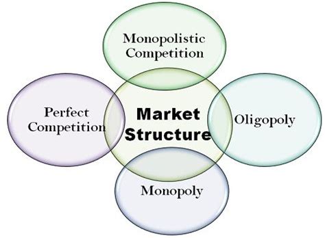 market structure definition  meaning business jargons
