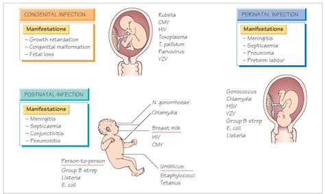 congenital  perinatal infections systemic infection