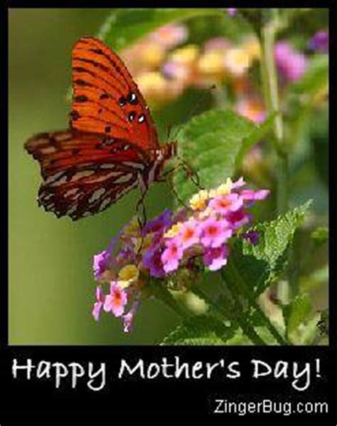 mothers day butterfly glitter graphic greeting comment meme  gif