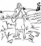 Seed Mustard Parable Sower sketch template