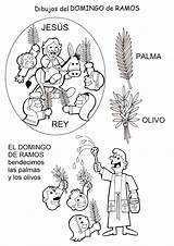 Ramos Catequesis Fichas Recursos Semana Catecismo sketch template
