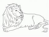 Lion Singa Lions Mewarnai Belajar Hutan Raja Coloriages Sketch Coloringhome Coloringbay Jungle sketch template