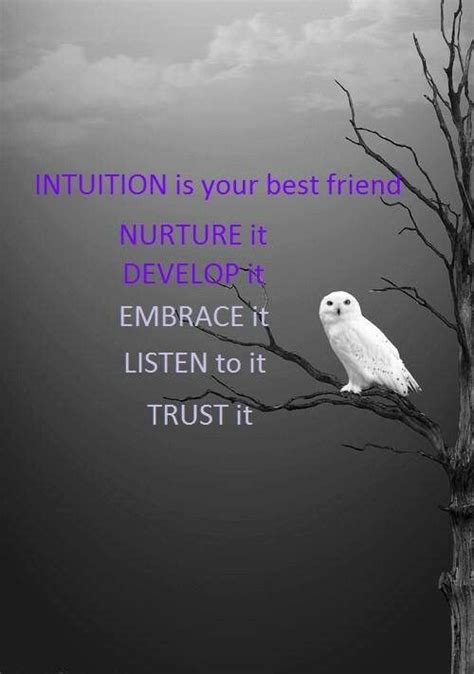 intuition quotes quotesgram