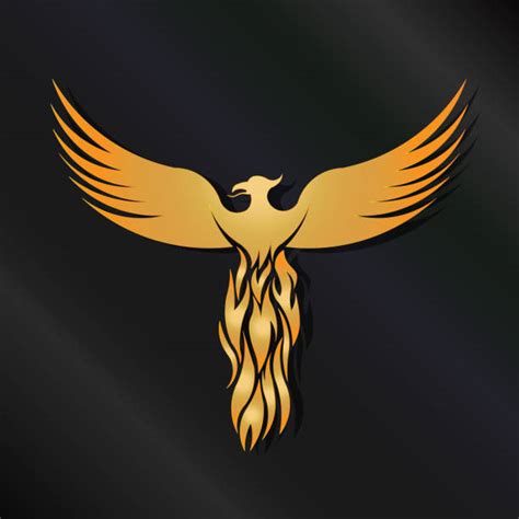 royalty  phoenix bird rising clip art vector images