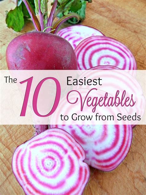 The 10 Easiest Vegetables To Grow From Seeds Easy Vegetables To Grow