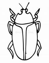 Beetle Exotic Cigale Animés Icônes Vecteur Icône Insecte Coccinelle sketch template