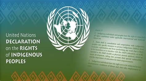 un declaration on the rights of indigenous peoples nightingale