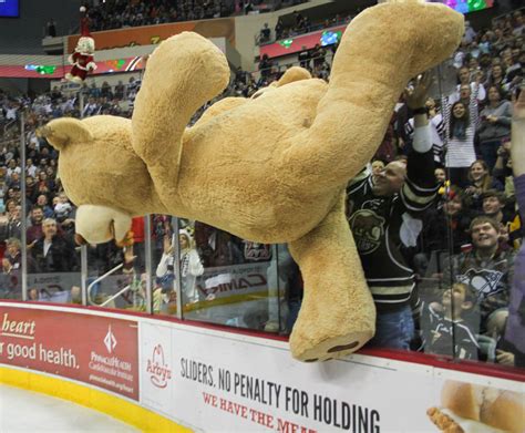 Hershey Bears Fans Toss 18 115 Teddy Bears For New Record Photos And