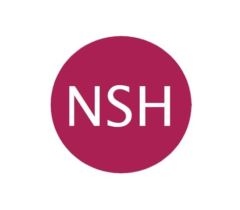 nsh logo  azafatas nsh