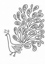 Peacock Coloring Feather Outline Pages Drawing Printable Bird Kids Colouring Template Birds Print Patterns Embroidery Eagle Adult Line Pattern Drawings sketch template