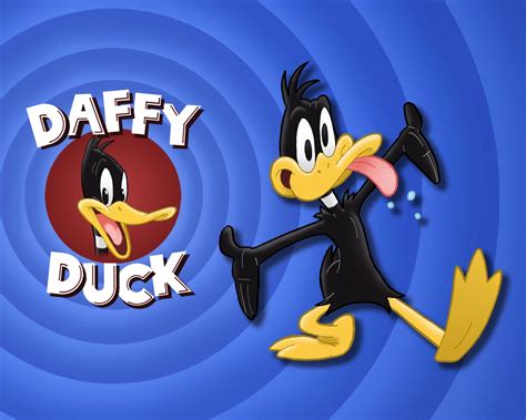 daffy duck daffy duck wallpaper  fanpop