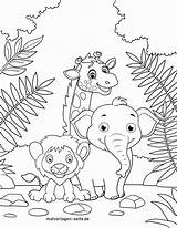 Malvorlage Ausmalen Ausmalbild Wildtiere Zootiere Tolle Urwald sketch template