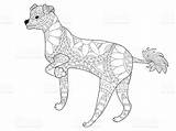 Crested Chien Adults Vecteur Stress Chinois Coloration Adultes Zentangle Designlooter sketch template