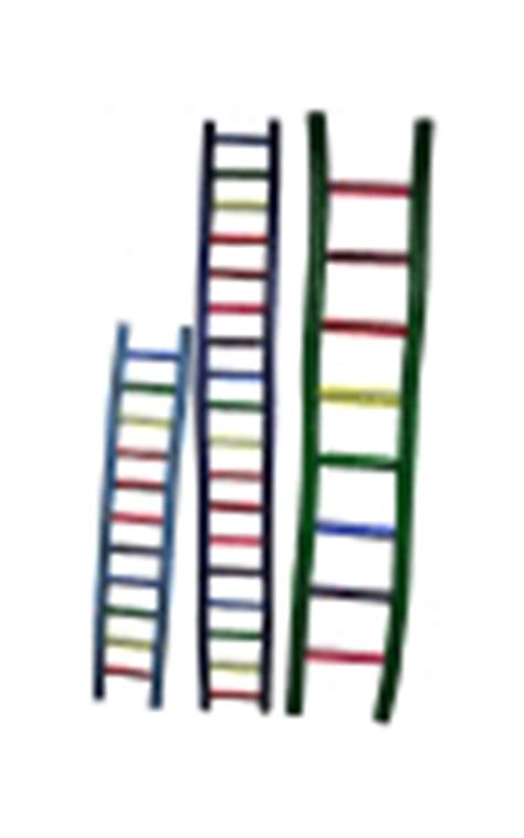 perch factory plastic parakeet ladder  acrylic parrot ladders