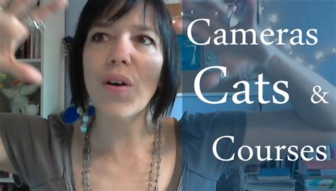 cameras cats courses jamie ridler studios