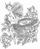 Pages Coloring Fairy Intricate Adults Colouring Printable Flower Winter Getcolorings Color Detailed Kids sketch template