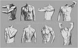 Torso Anatomy Anatomical Male Vii sketch template