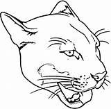 Puma Coloring Face Panther Pages Drawing Logo Panthers Carolina Getdrawings Animal Cougar Lion Drawings Printable Mountain Categories 02kb sketch template
