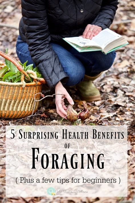 surprising benefits  foraging wild edibles     started