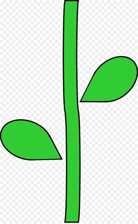 plant stem clipart   cliparts  images  clipground