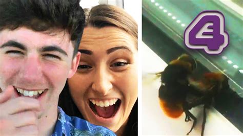 Vlogglebox Reacting To Killer Bee Sex Youtube