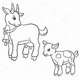 Geit Cabra Cabrito Kleurplaat Granja Kleurplaten Geitje Boerderijdieren Bij Ziege Goats Mayka sketch template