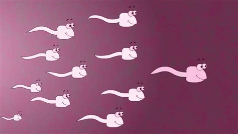 trolled sperm animation youtube