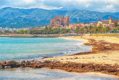 top beaches  mallorca  travel recommendations tours trips  viator
