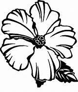 Hibiscus Bunga Raya Hawaiian Mewarna Kanak Bestcoloringpagesforkids Percuma Tumbuhan Berwarna Dicetak Halaman Pewarna Clipartmag sketch template