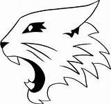 Coloring Pages Wildcat Draw Logo Musical Designs School High Clipart Wildcats sketch template