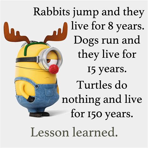 lesson learned pictures   images  facebook tumblr pinterest  twitter