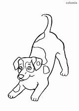 Russel Hunde Ausmalbild Hund Malvorlage Happycolorz Laika sketch template