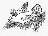 Goldfinch Willow Coloring Book Clipartkey sketch template