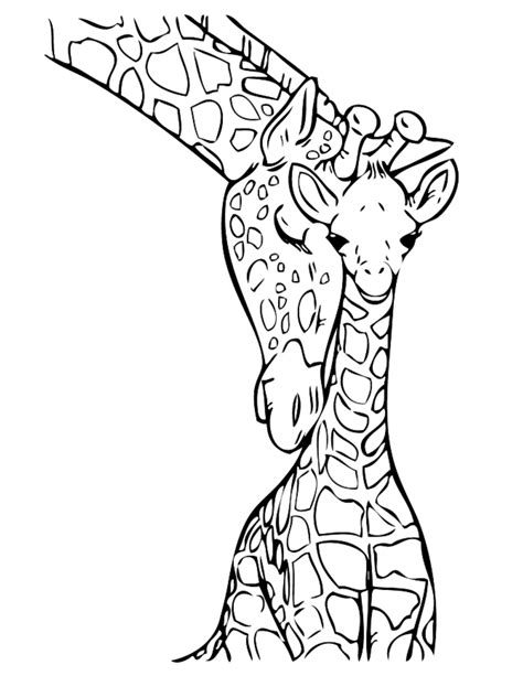 giraffe head coloring page  getcoloringscom  printable
