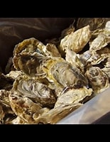 Afbeeldingsresultaten voor japanse oester. Grootte: 155 x 200. Bron: www.youtube.com