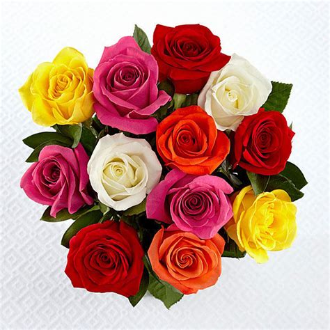 Mixed Color Roses Bouquet A1479 Flower Delivery Flower Shop