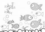 Poisson Coloriage Coloring Fish Pages Typepad sketch template