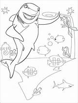 Coloring Pages Tale Shark Printable sketch template