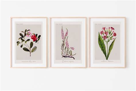 botanical wall art prints set  botanical art prints etsy uk
