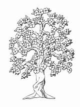Coloring Tree Pages Oak Peach Drawing Flower Life Inchworm Color Adults Colouring Printable Complicated Getcolorings Trees Complex Adult Family Print sketch template