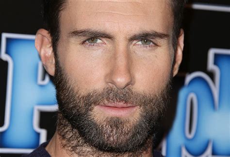 Better With A Beard From Adam Levine To Paul Rudd Who